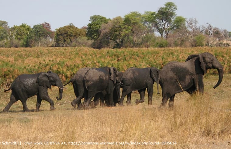 Bwabwata National Park