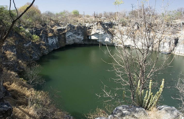 Source: Greg Willis - http://greg-willis.com/gallery/Travel/Namibia06/AloegroveLodge/c-1689.jpg.html, CC BY-SA 2.5, https://commons.wikimedia.org/w/index.php?curid=7161426